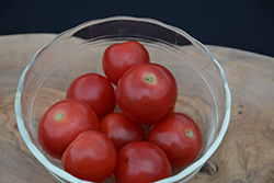 Husky Red Cherry Tomato (Solanum lycopersicum 'Husky Red Cherry') at English Gardens