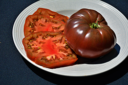 Cherokee Purple Tomato (Solanum lycopersicum 'Cherokee Purple') at English Gardens