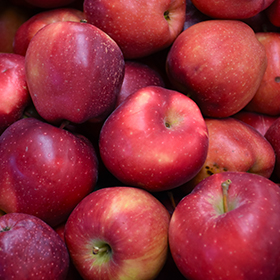 Red Delicious Apple: The Fruit of Knowledge - Arbor Day Blog